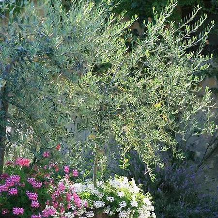 San Lorenzo Della Rabatta *