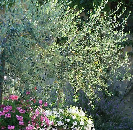 San Lorenzo Della Rabatta *